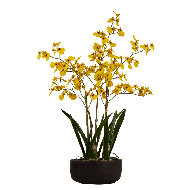 71cm Real Touch Yellow Dancing Orchid in Ceramic Pot